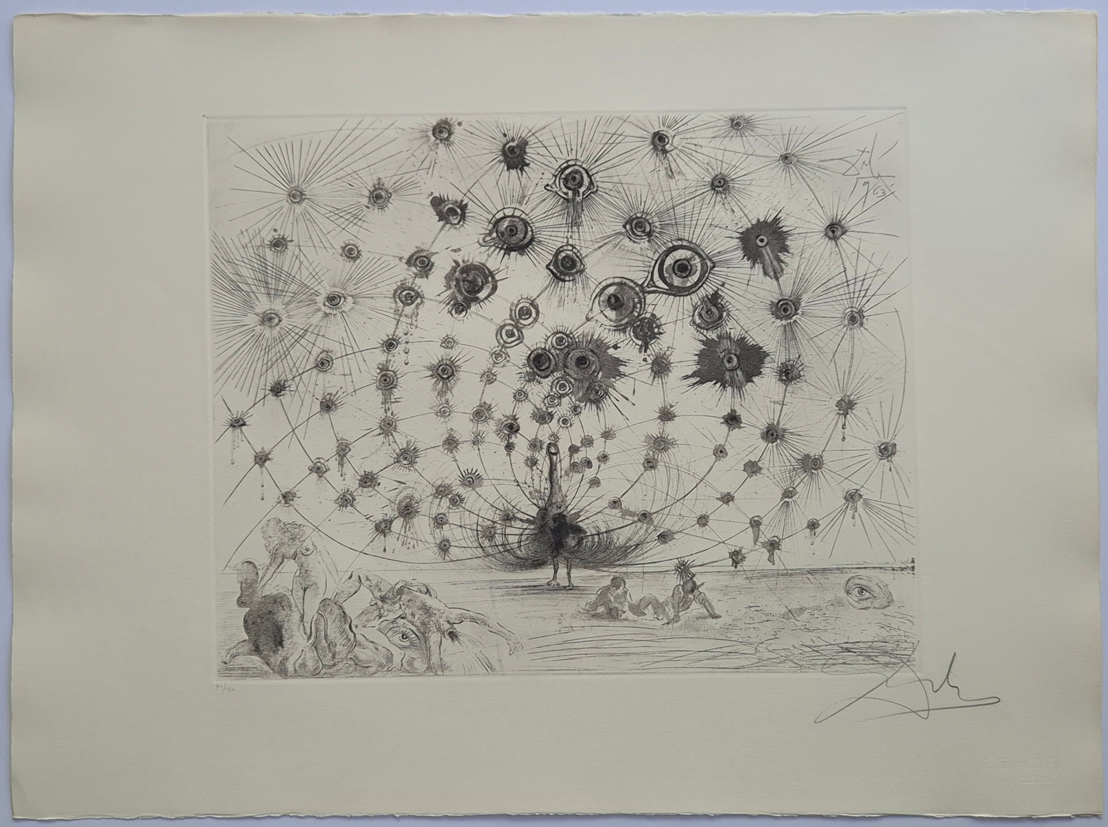 Salvador Dali -- Argus