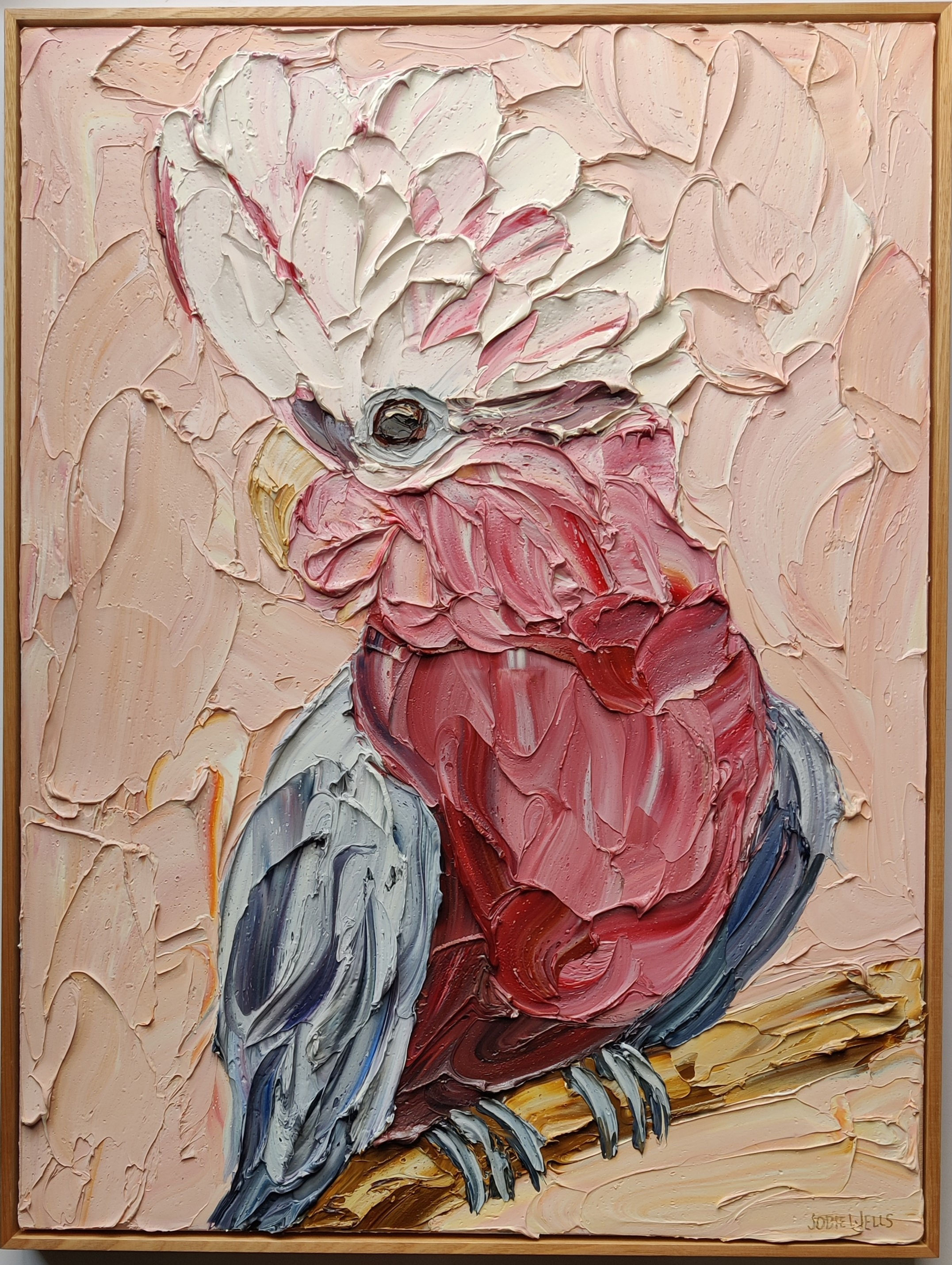 Jodie Wells -- Galah on Blushing Peach