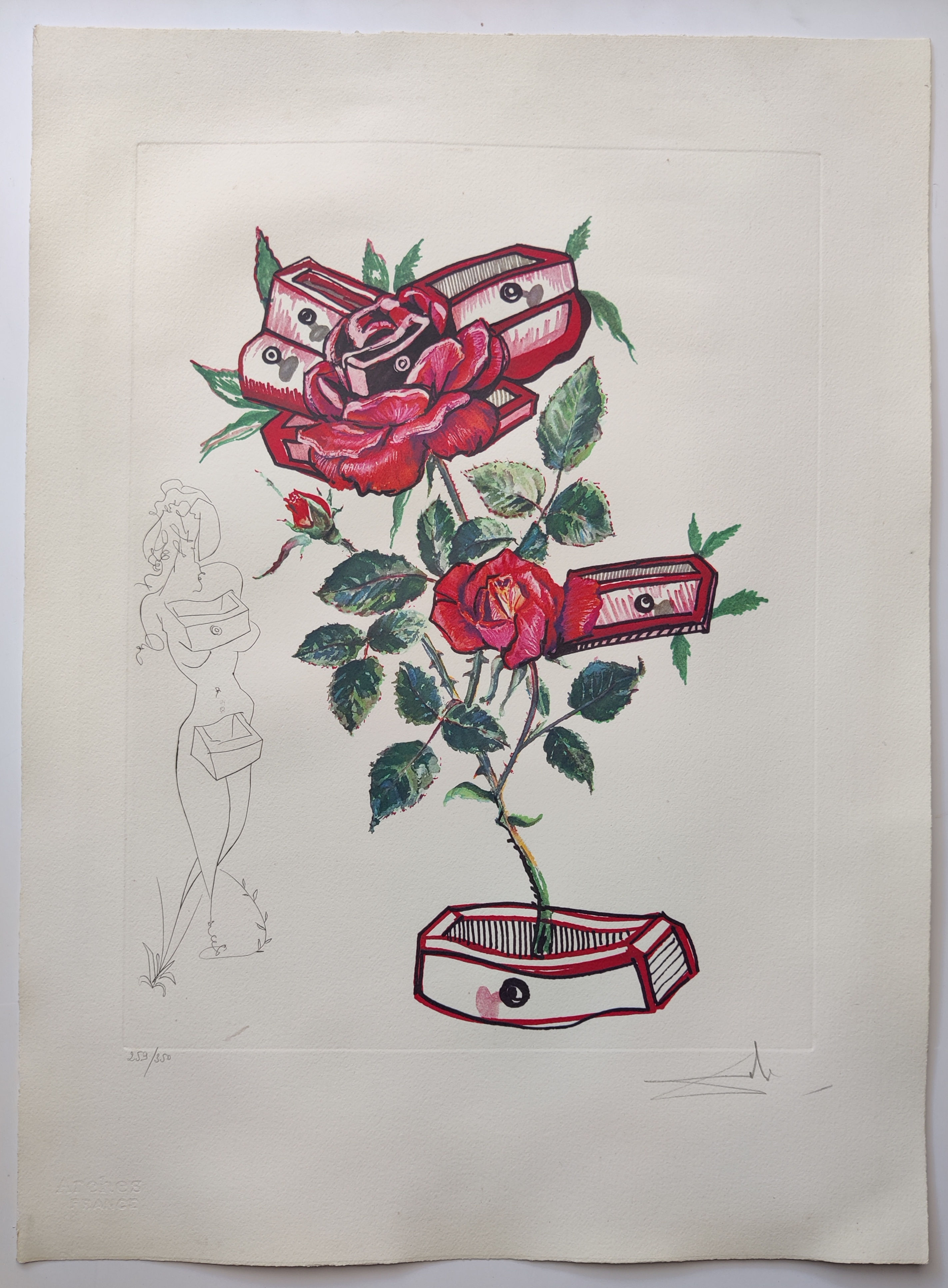 Salvador Dali -- Rose + Drawers from Surrealist Flowers, Florals