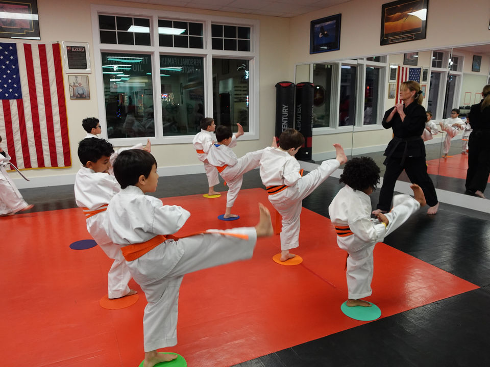 Faustini's Institute of Martial Arts and Fitness — photo