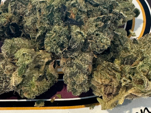 Dryden Dispensary — photo 2