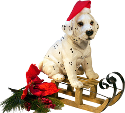 Pets e o perigo dos enfeites de Natal