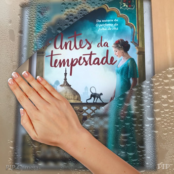 Resenha do livro ANTES DA TEMPESTADE – DINAH JEFFERIES