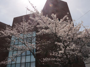 第44回入学式