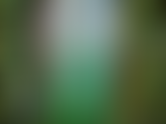 Entdecke die Vollkommenheit in dir selbst - mit Hilfe des großen Geistes