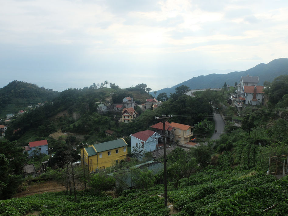 Thiếu nữ trên Tam Đảo