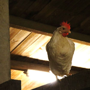 Photos of Journalism