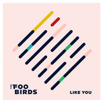 Foo Birds 1.jpeg