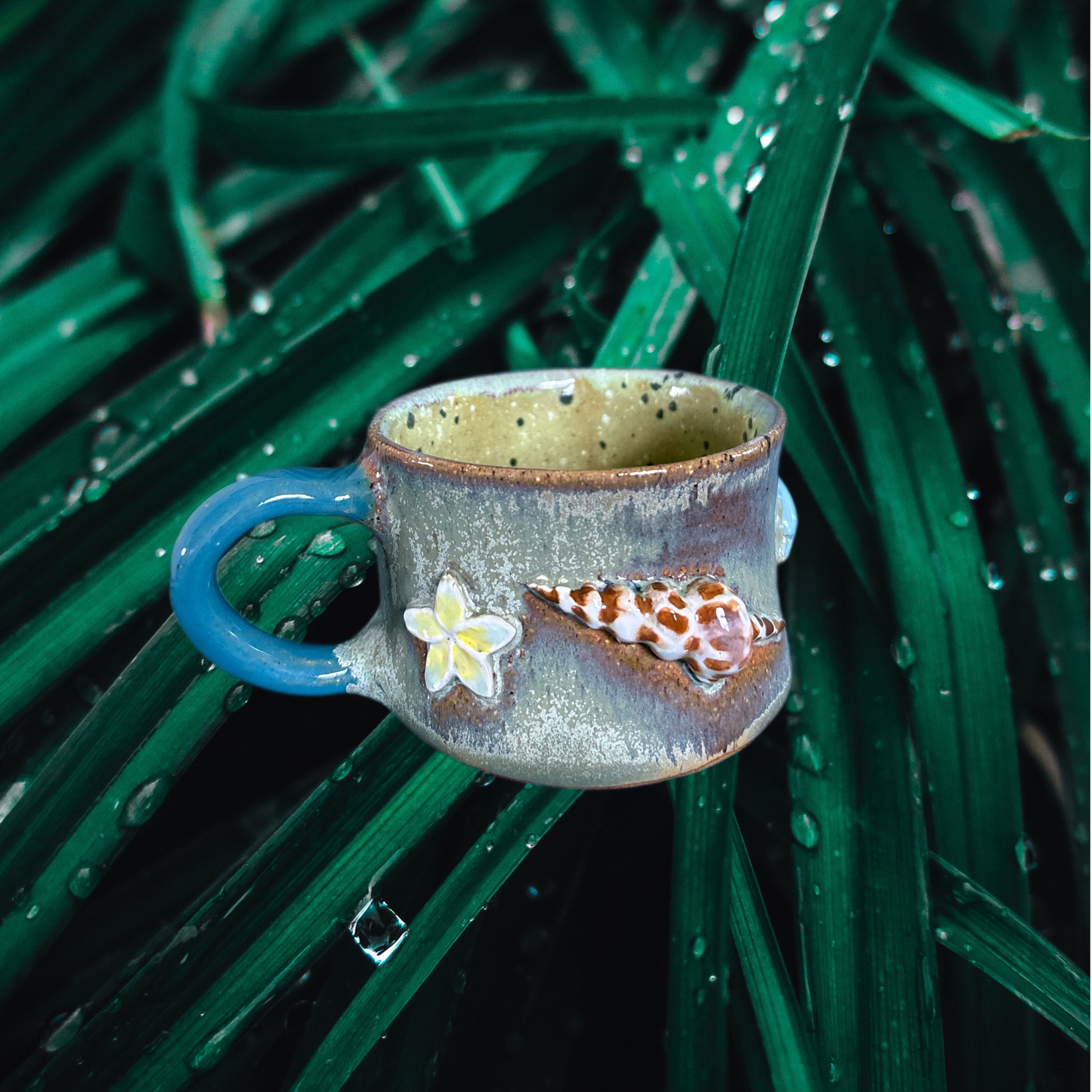 Seashell Mug 16