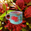 Thumbnail: Waratah Mug