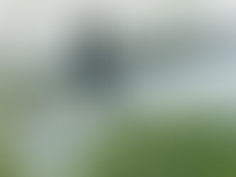 Find an activity you love to do and embrace an anti-inflammatory way of eating - great life recipe!