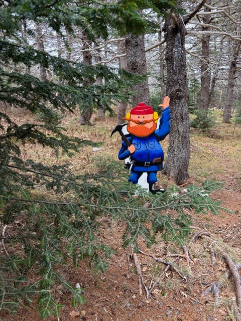 4-You see Lumberjacks on the trails...