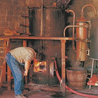 Nicoleau7.jpg