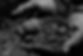 DSC_0030 BW.jpg