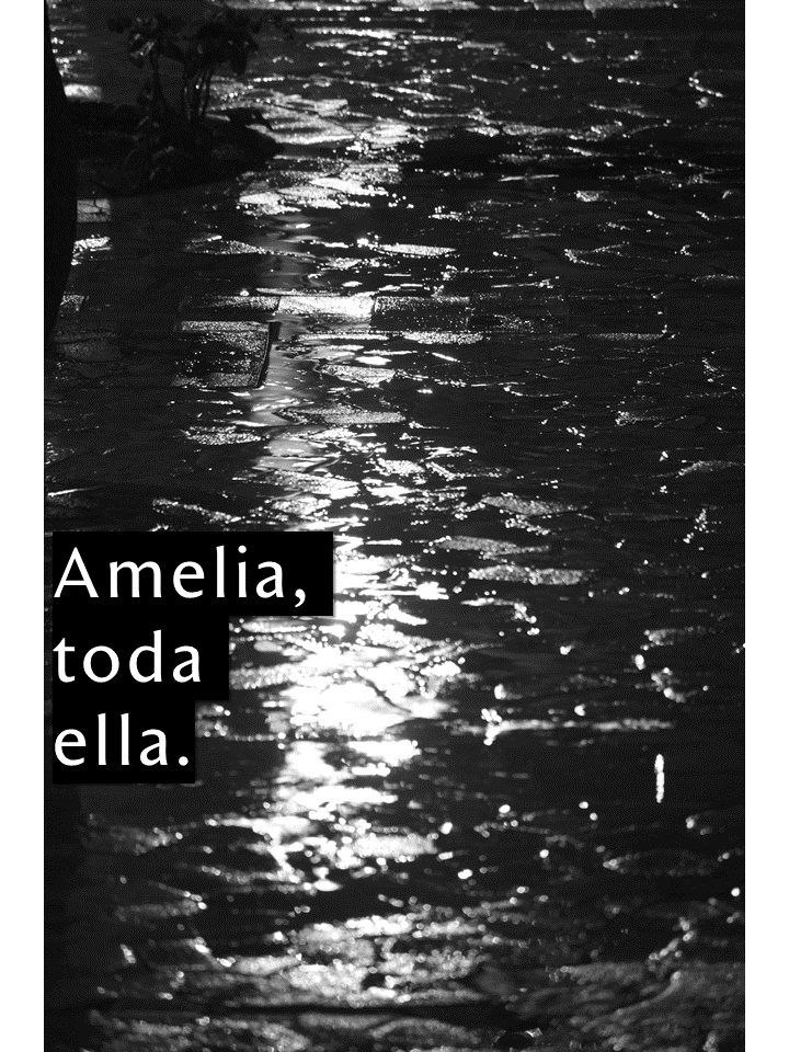 Reflexiones varias.