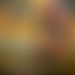 Mickie James Announces MJ's "Masterclass"