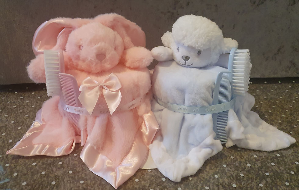 Thumbnail: Twins nappy cake 
