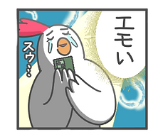 16.png