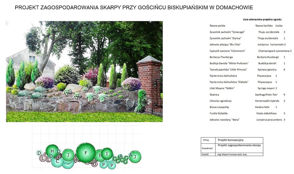 Projekt koncepcyjny