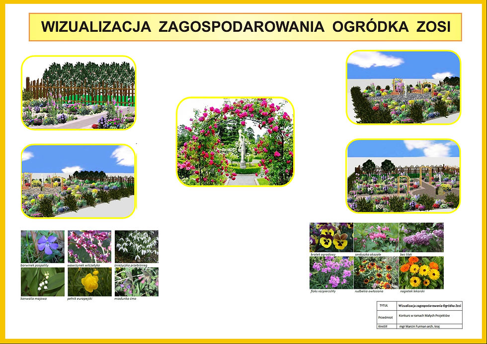 wizualizacja.jpg