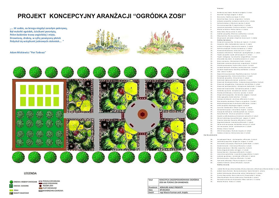 koncepcja.jpg