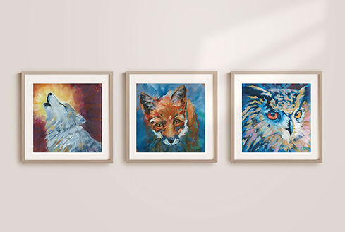 home-gallery-animals.jpg