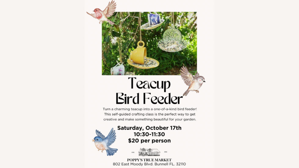 Teacup Bird Feeders