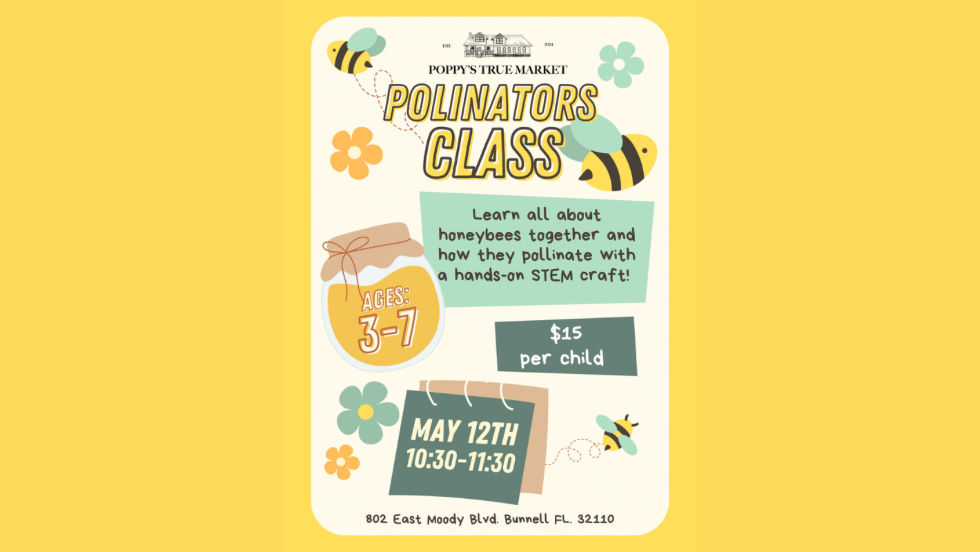 Pollinators Class