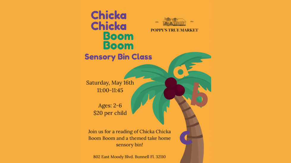 Sensory Bin Class