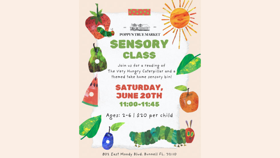 Sensory Class