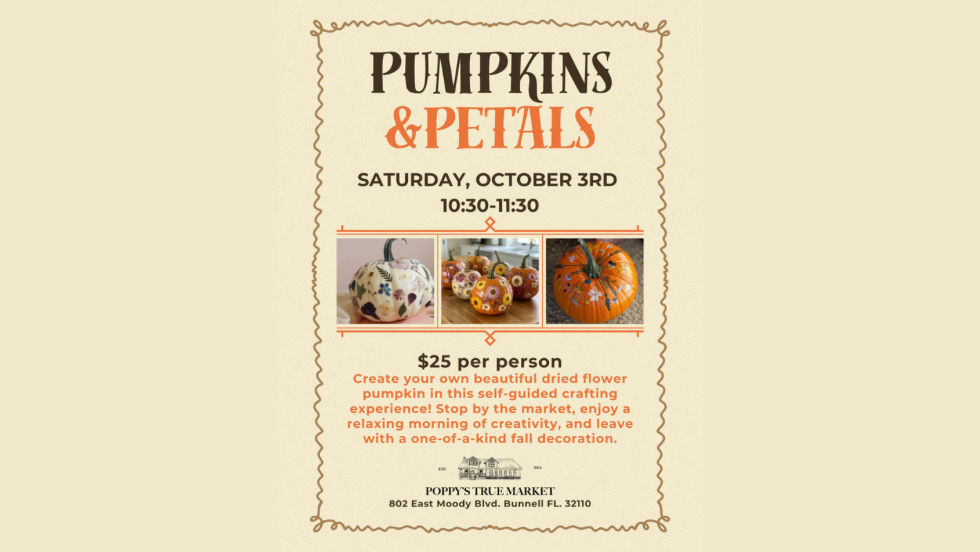 Pumpkins & Petals