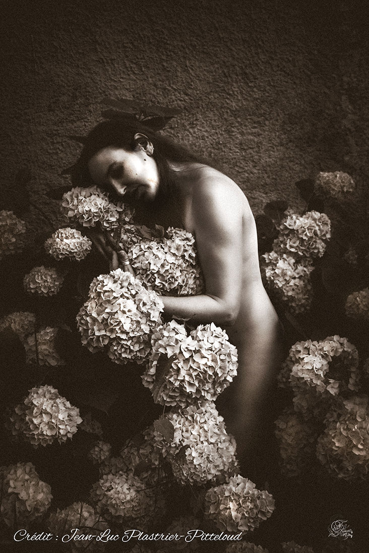 Femme nue étreignant des fleurs blanches, reflets de Fawn, Isa. Sur fond sombre.