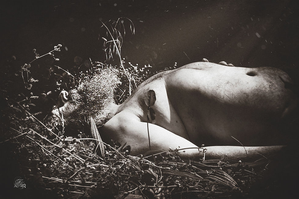 Homme nu couché dans l'herbe et les plantes, Reflets De Fawn.