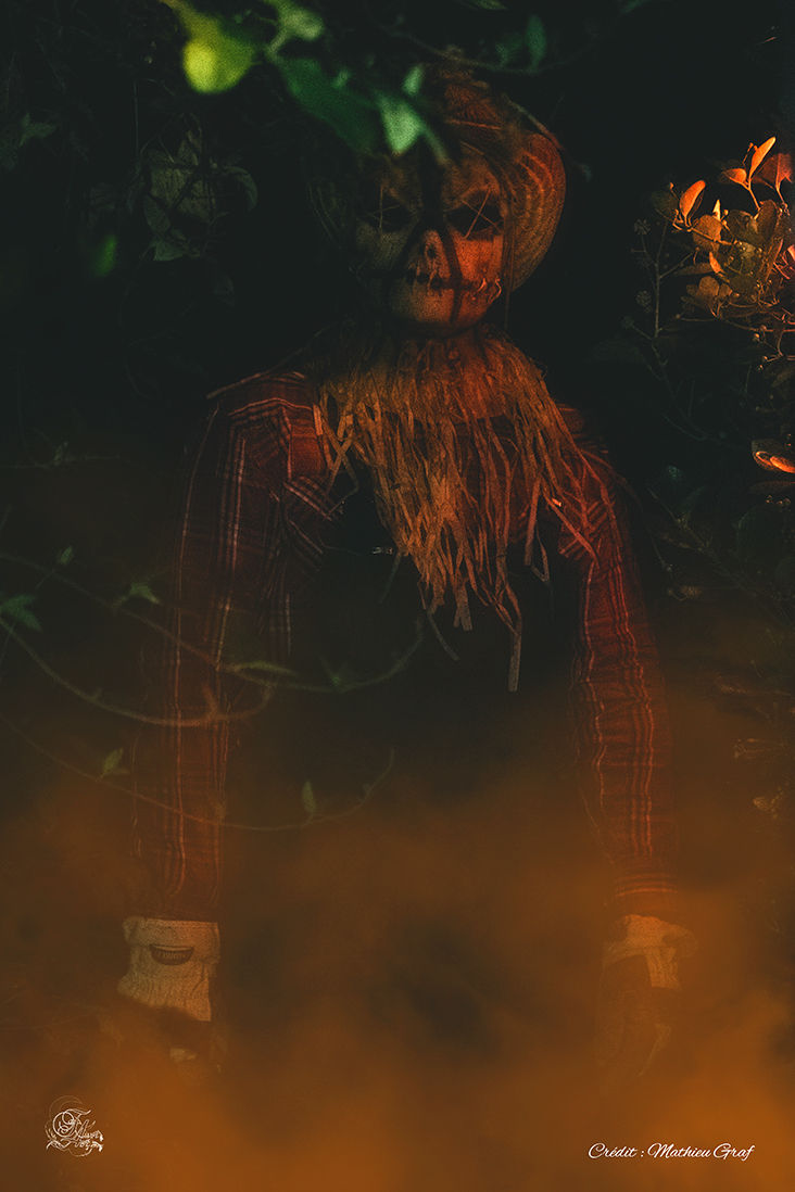 Épouvantail effrayant avec une chemise à carreaux, scène sombre et mystérieuse, Reflets De Fawn