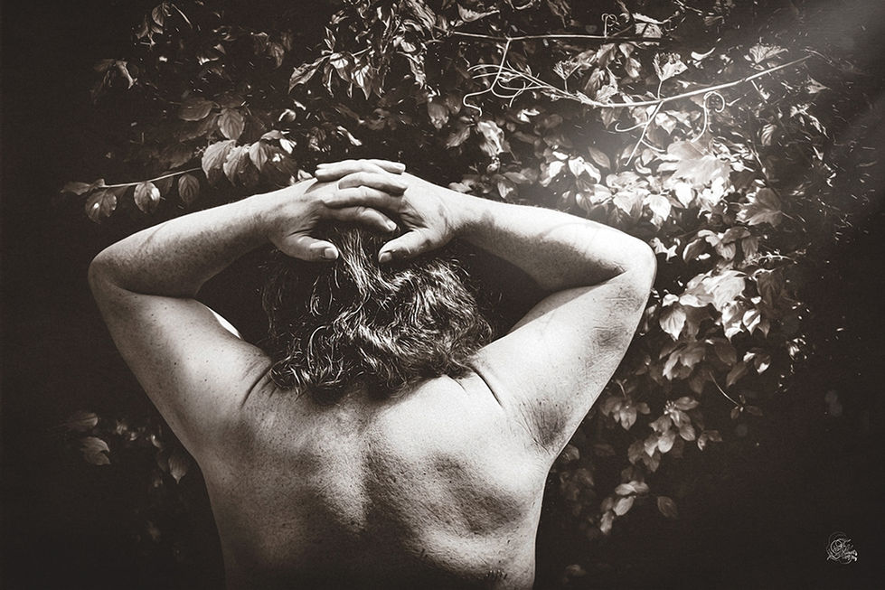 Dos d'une personne avec les mains sur la tête, près des feuilles. Reflets De Fawn.