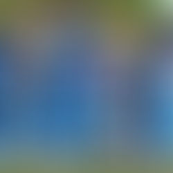 BATTING FOR EQUAL PAY IN INDIAN CRICKET- IS IT TIME?