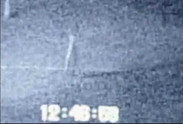 31 Days of Horror: Terrifying Cryptids and Where to Find Them