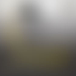 XVI Jornadas Gardelianas