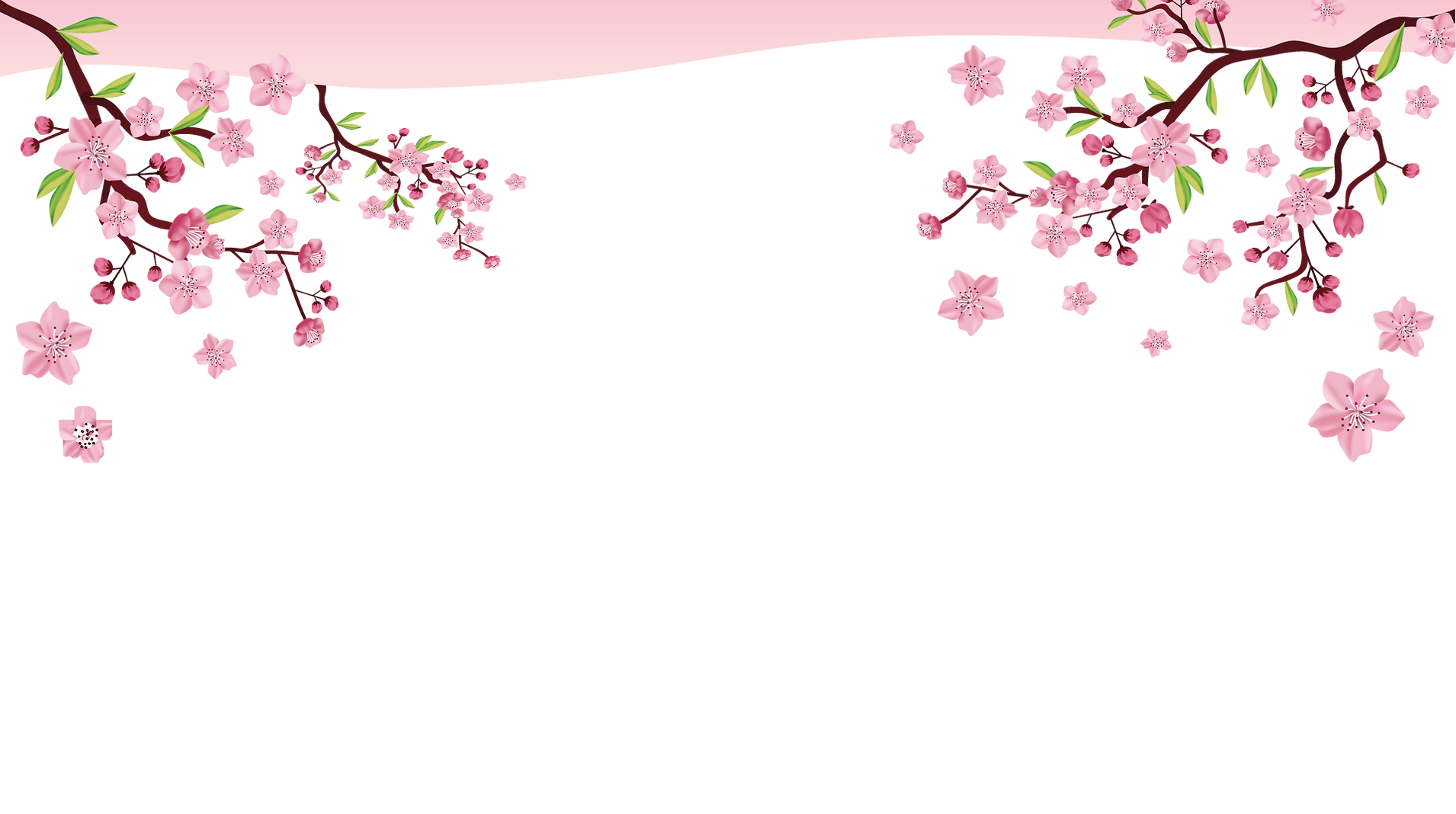 배경.png