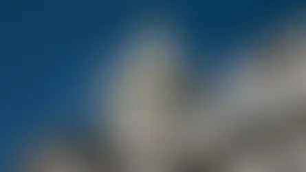 287 G Immediate Action Resolution