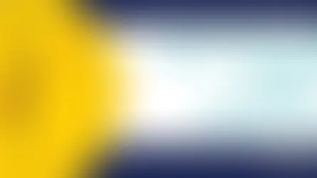 Housing Tip of the Week - Live Baltimore and Black Women Build - Baltimore Virtual Informational Workshop 