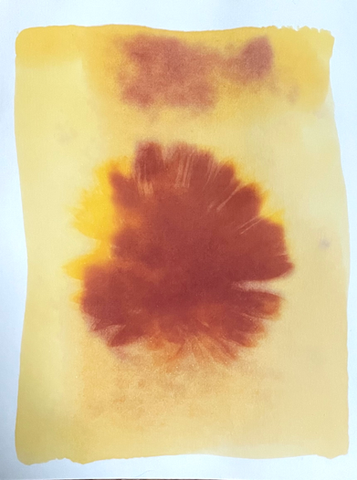 Souvenir d’un bouquet