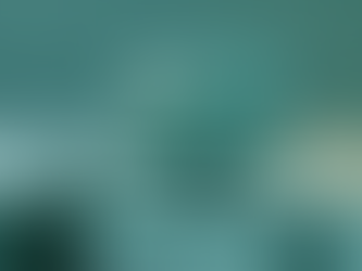 How to Hire the Right eLearning Developer: Essential elearning developer hiring tips