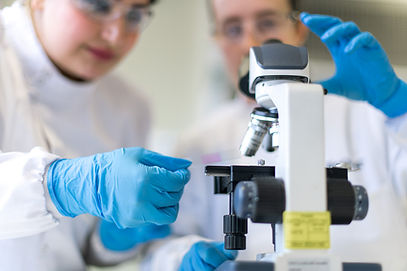 Students using microscope to examine samples during microbiology training session