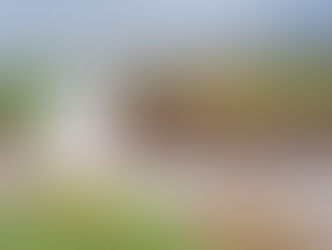 Wright’s Cow Manure