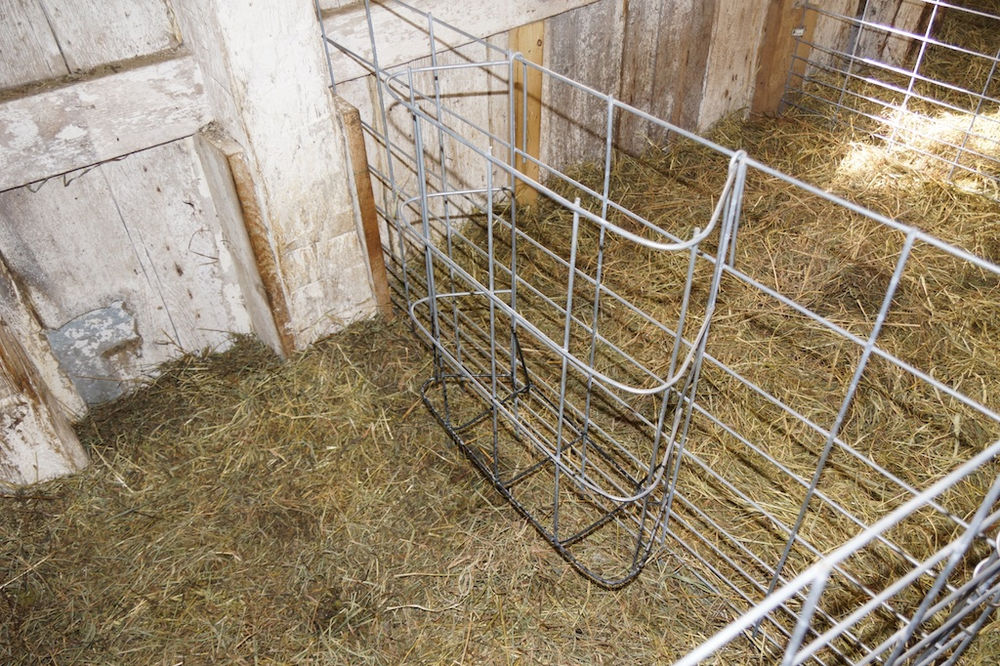 Building Feeders for Lambing Jugs