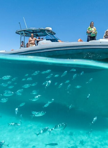 Famiglia che si gode una vacanza su uno yatch, sono presenti anche dei pesci sul fondale marino