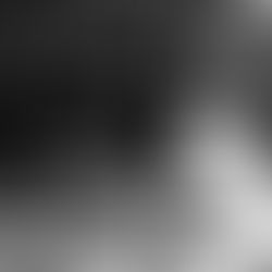 Built in the Offseason