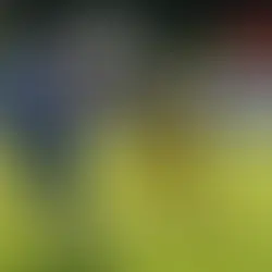 Nachbericht Awaygame Albershausen Crusaders