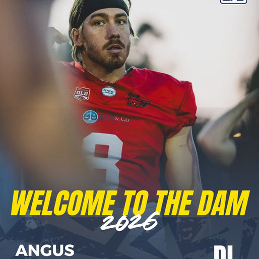 Welcome to the Dam Angus!
